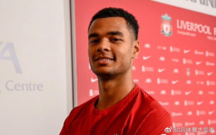 集中精力于 集中精力于