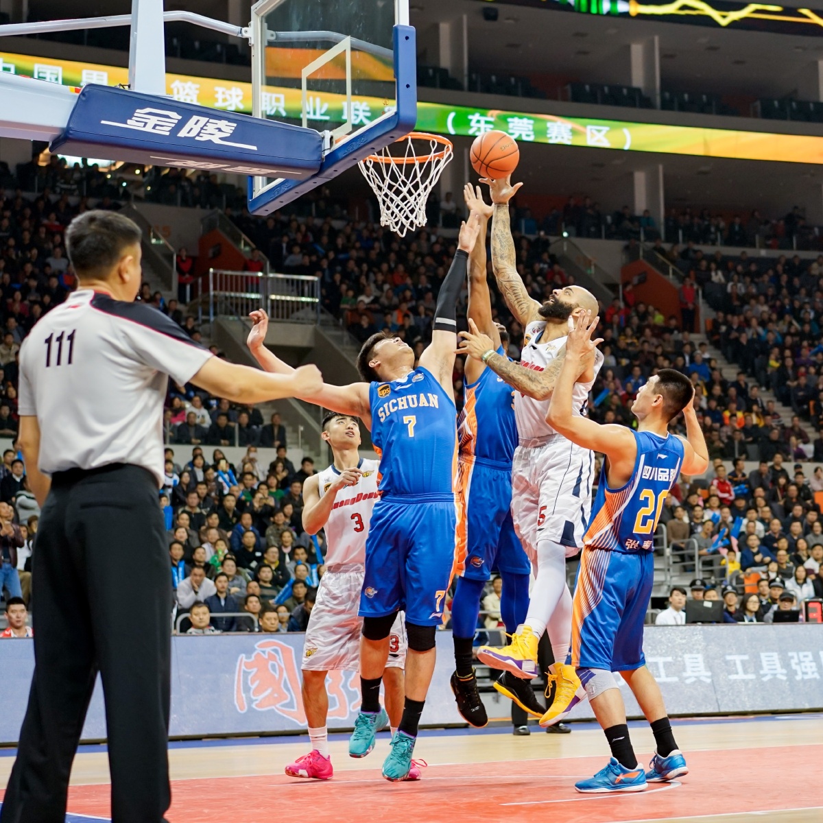 浙江护筐与 浙江护筐与